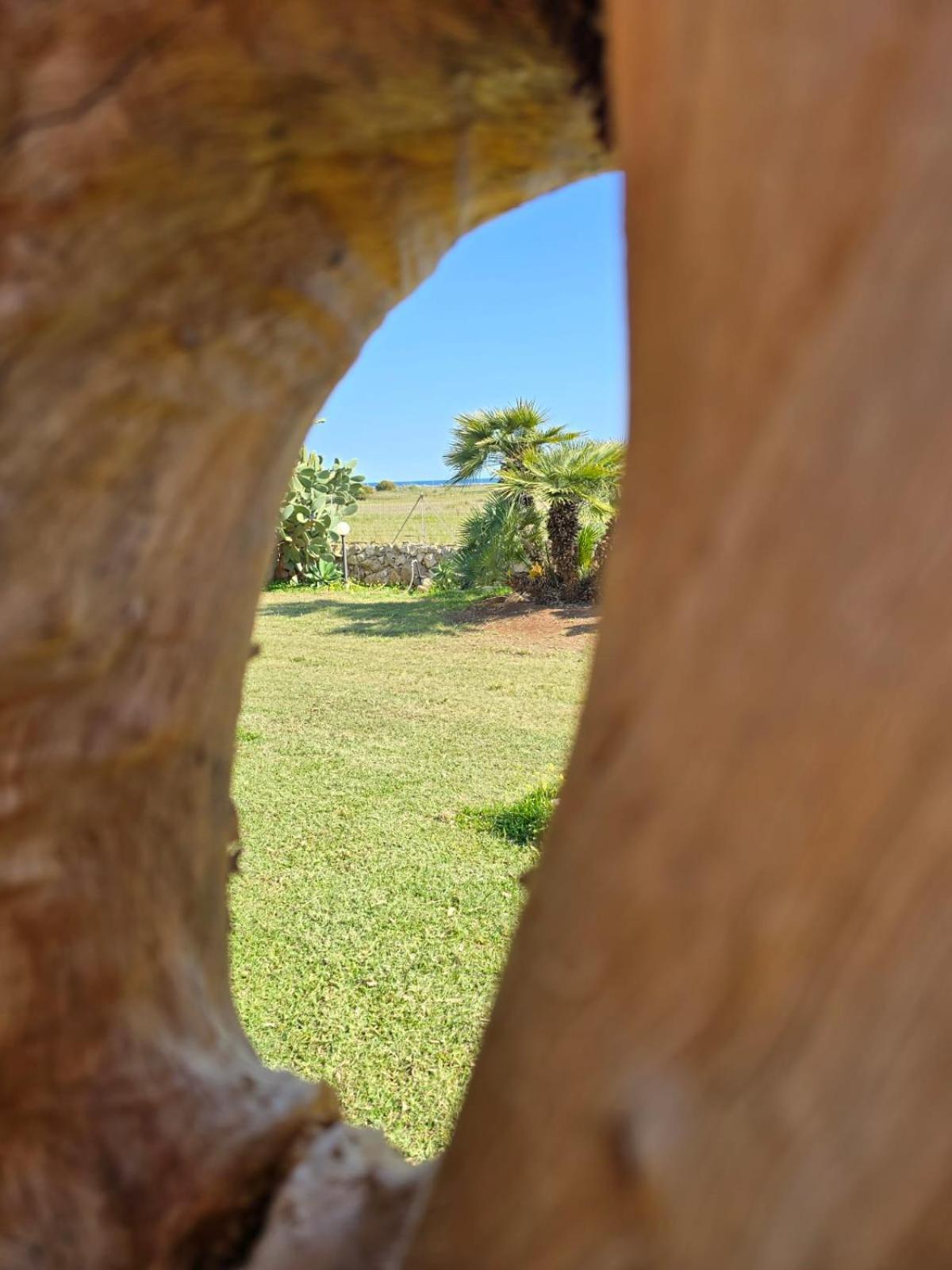 B&B Casa Cavarra Portopalo Di Capo Passero ภายนอก รูปภาพ