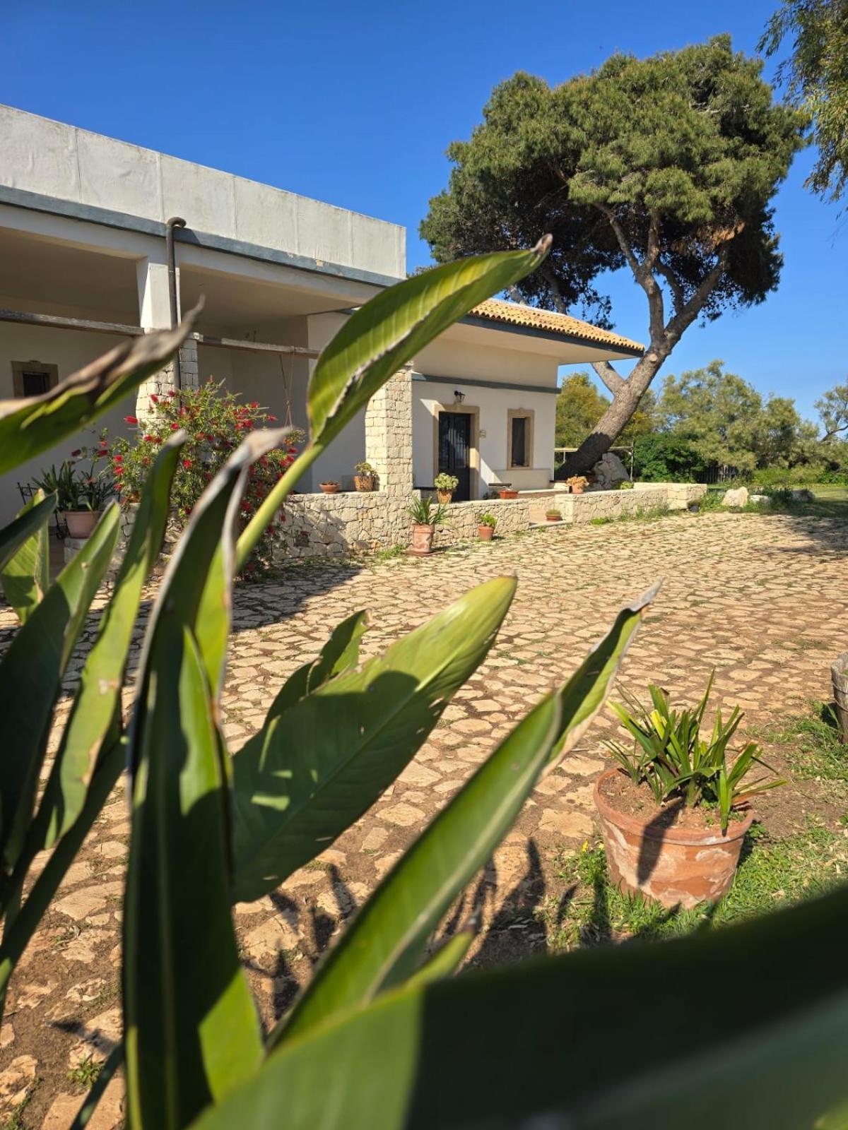 B&B Casa Cavarra Portopalo Di Capo Passero ภายนอก รูปภาพ